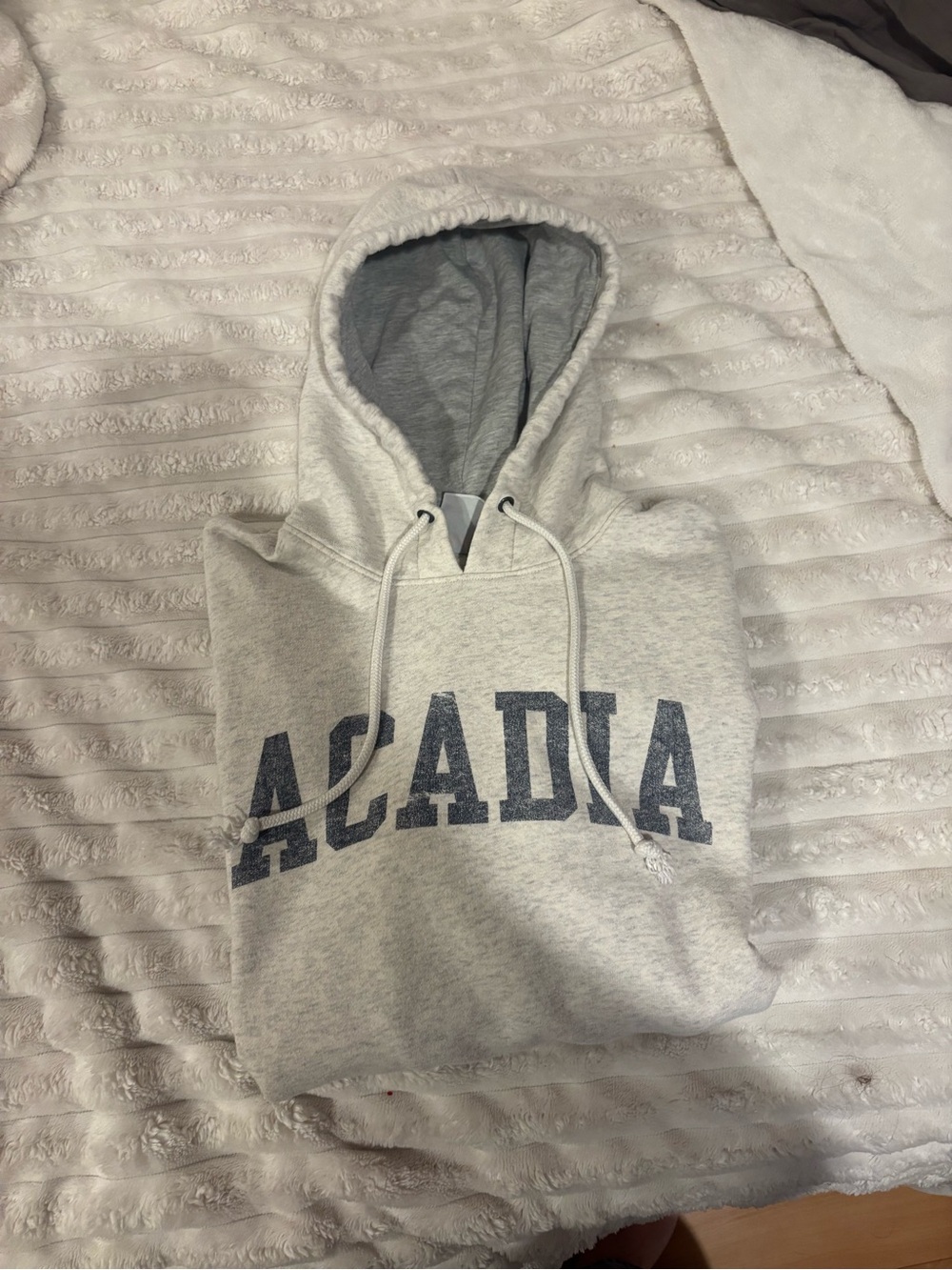 Champion Light Gray Pullover Hoodie